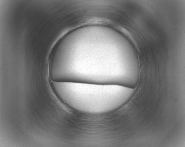 X0000068851227200605051009