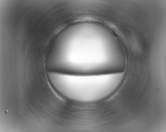 X0000068851233200605051009