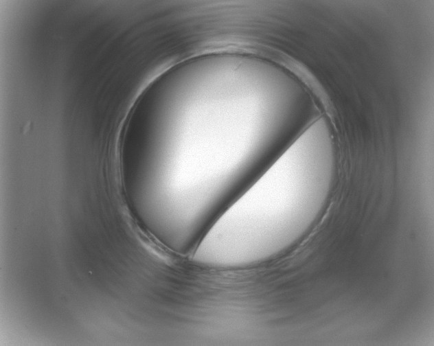 X0000068851242200605051009
