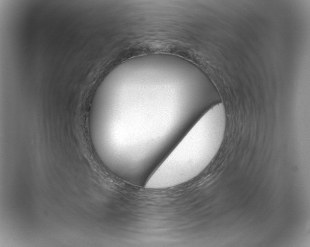X0000068851249200605051009