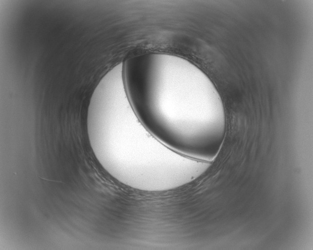 X0000068851250200605051009