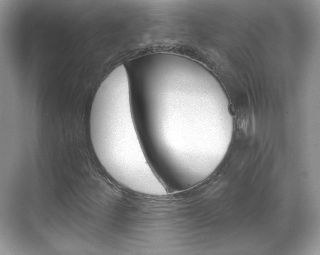 X0000068851252200605051009