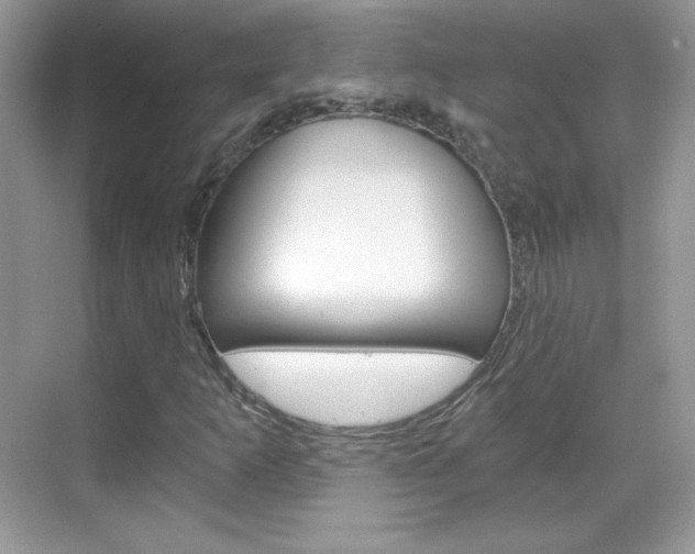 X0000068851253200605051009