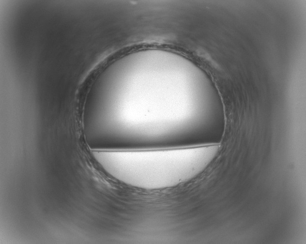 X0000068851256200605051009