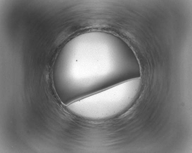 X0000068851257200605051009
