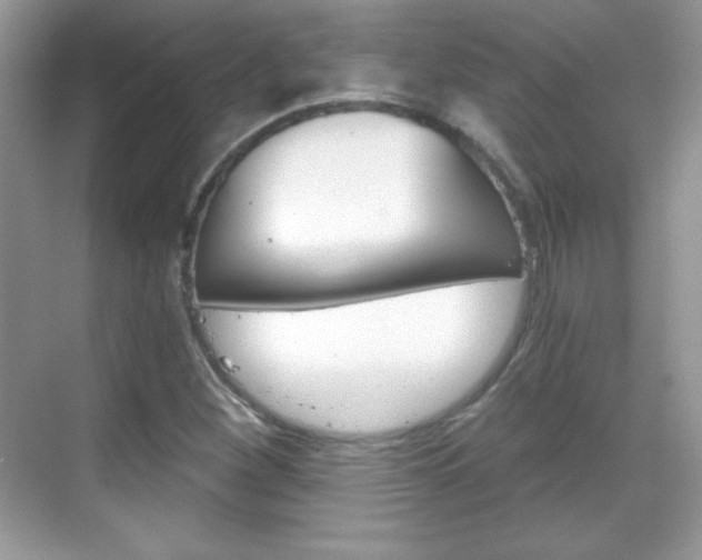 X0000068851260200605051008