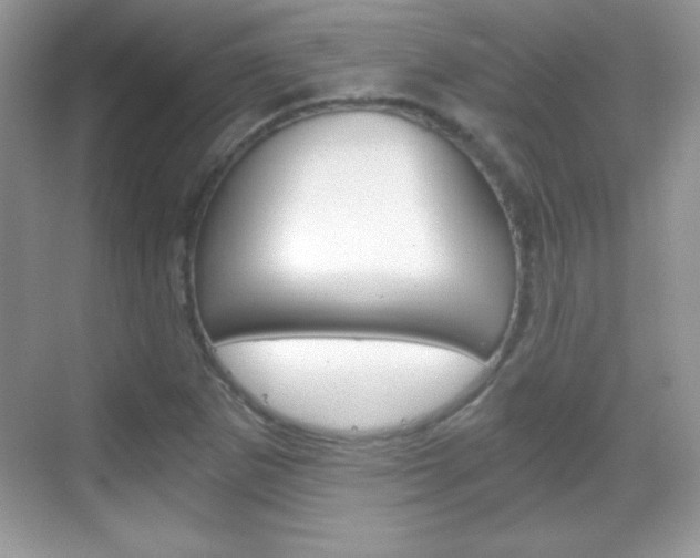 X0000068851265200605051008