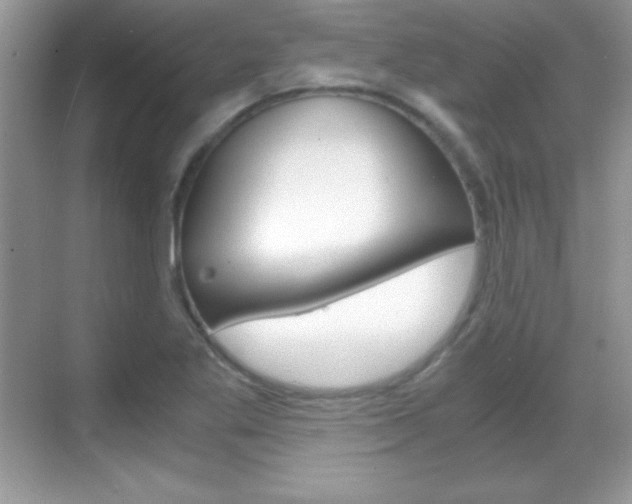 X0000068851269200605051008