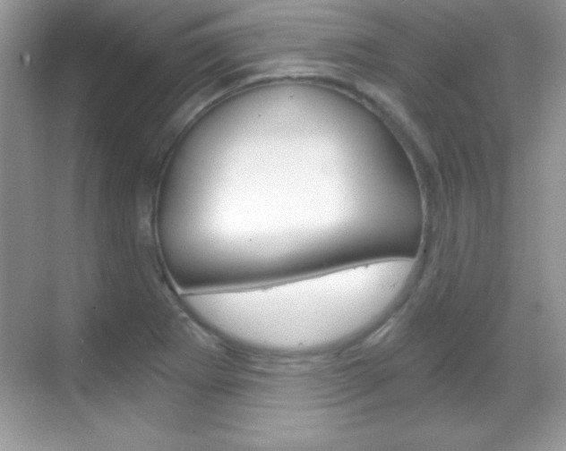 X0000068851273200605051008