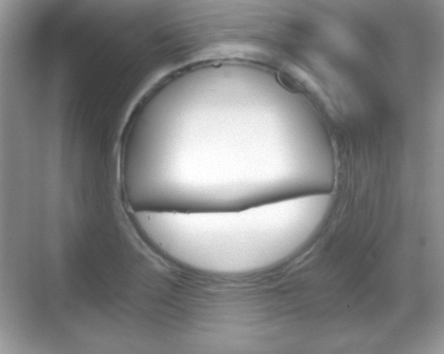 X0000068851275200605051008