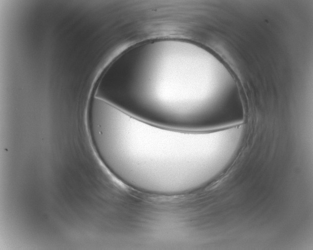 X0000068851293200605051008