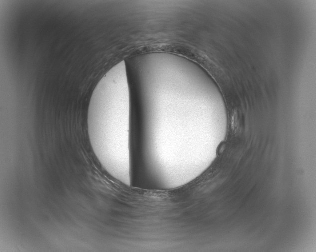 X0000068851299200605051007