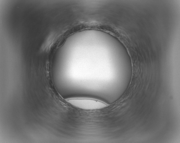 X0000068851301200605051007
