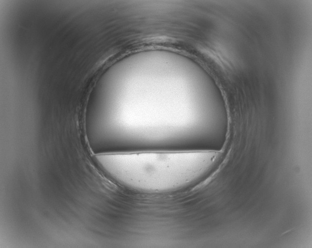 X0000068851305200605051007