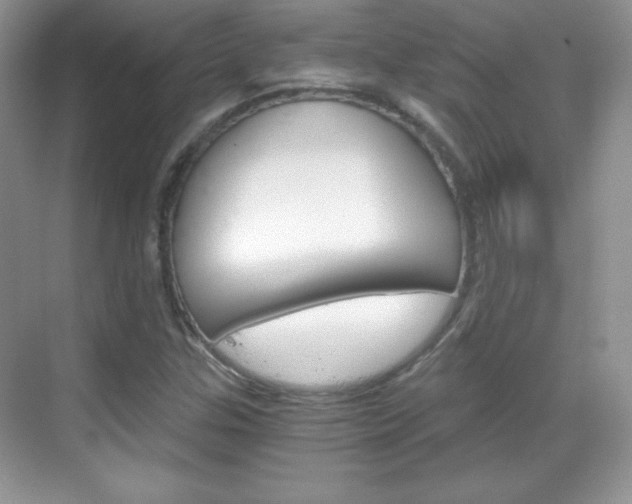 X0000068851307200605051007