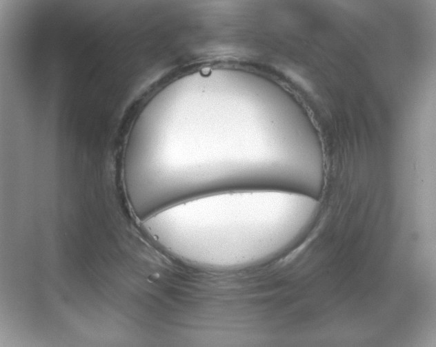 X0000068851309200605051007