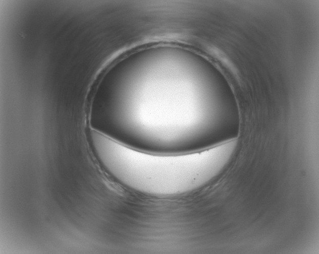 X0000068851316200605051007