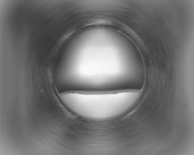 X0000068851321200605051007