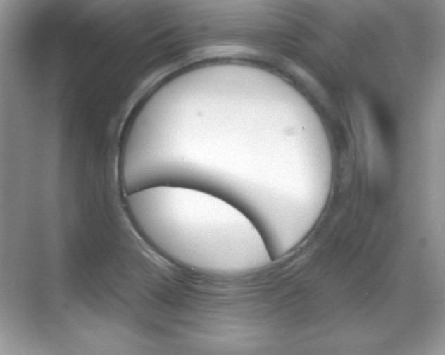 X0000068851322200605051007