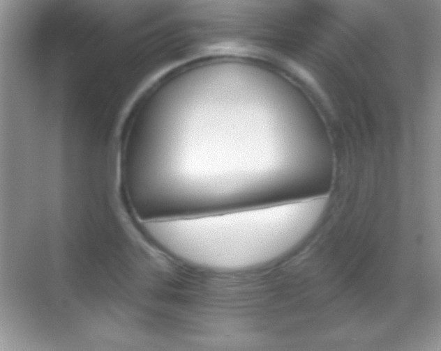 X0000068851323200605051007