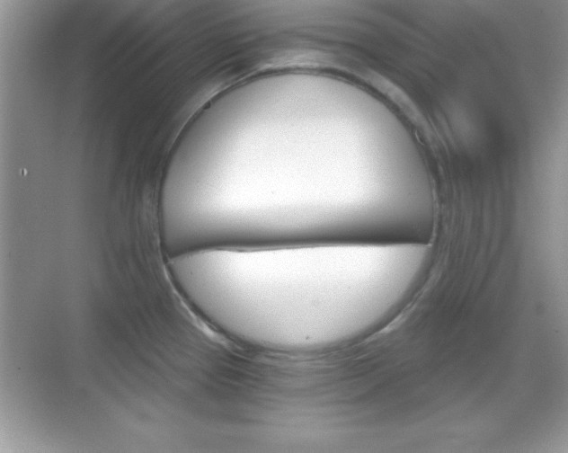 X0000068851337200605051008