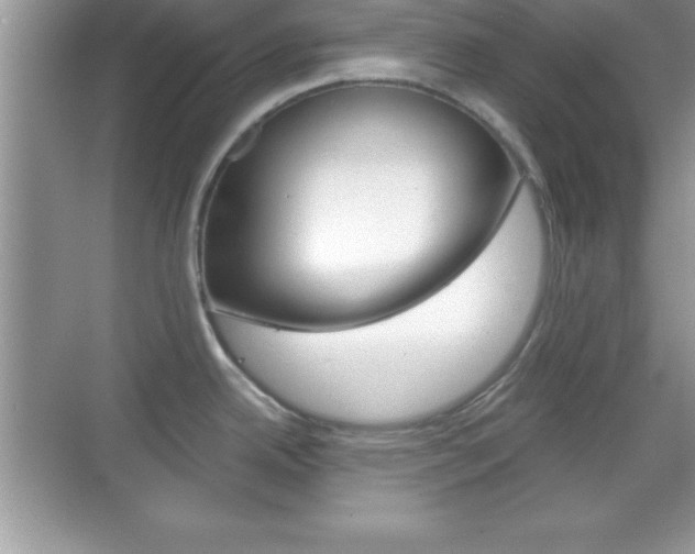 X0000068851342200605051008