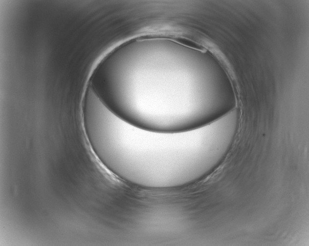 X0000068851344200605051008