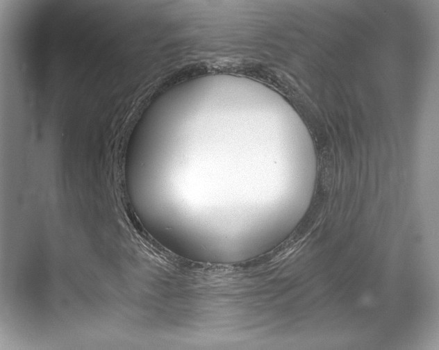 X0000068851345200605051007