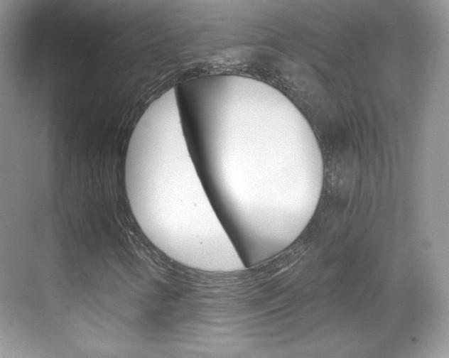 X0000068851346200605051007
