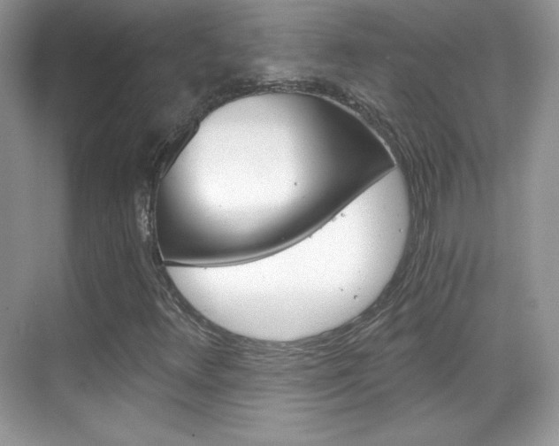 X0000068851348200605051007