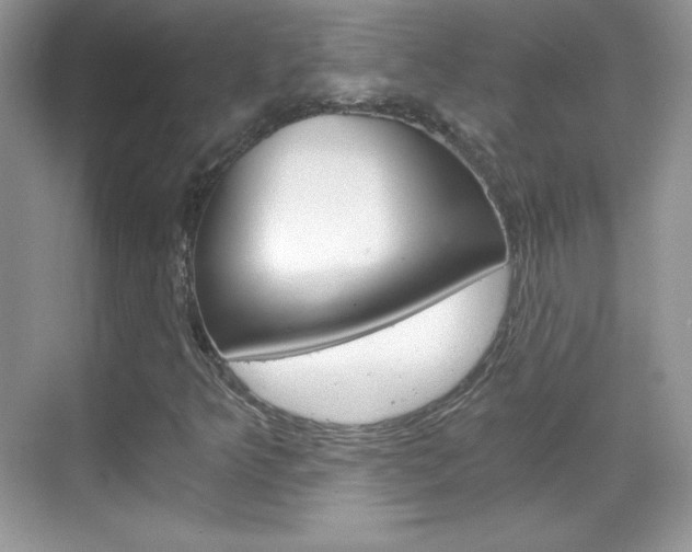 X0000068851349200605051007