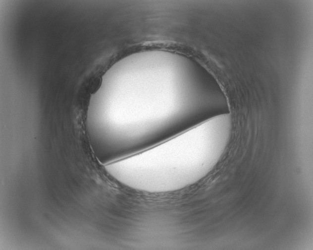 X0000068851351200605051007