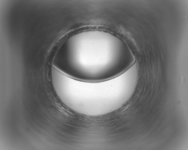 X0000068851352200605051007