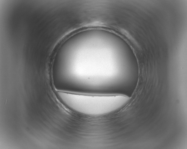 X0000068851356200605051007