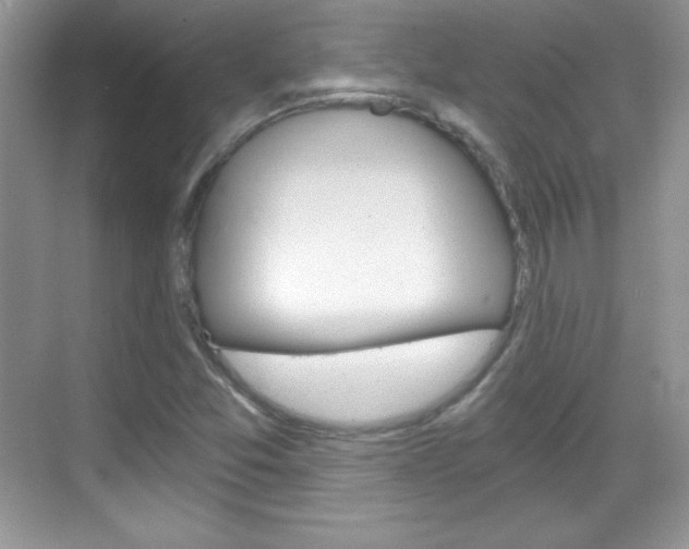 X0000068851357200605051007
