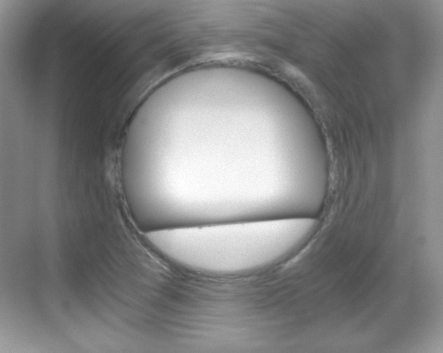 X0000068851361200605051007