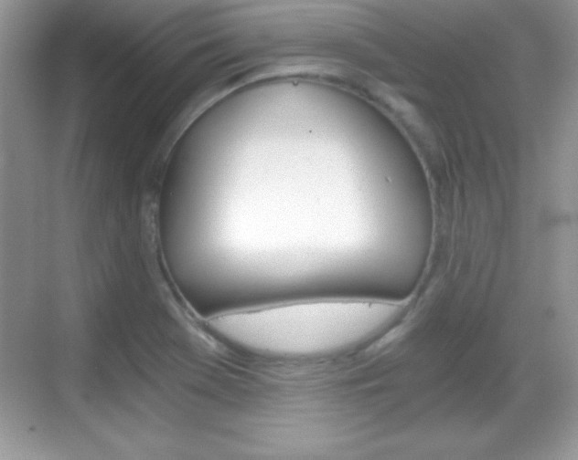 X0000068851369200605051007