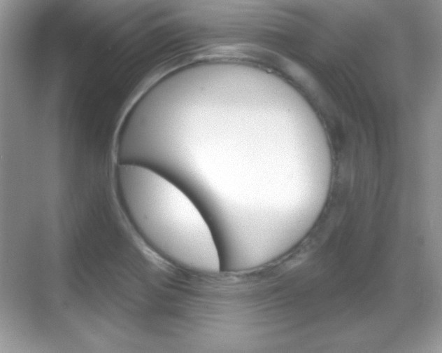 X0000068851370200605051007
