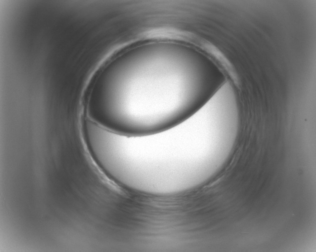 X0000068851376200605051007