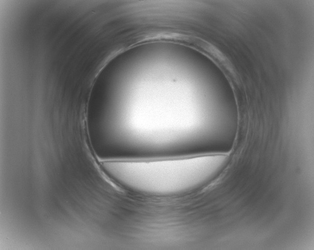 X0000068851377200605051006