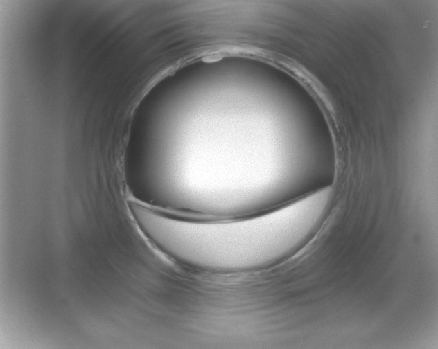 X0000068851385200605051006
