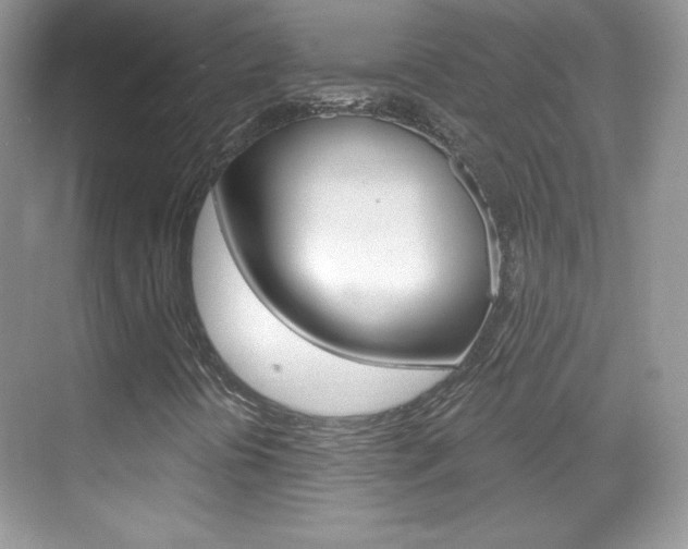 X0000068851394200605051005