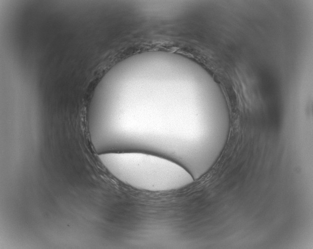 X0000068851397200605051005