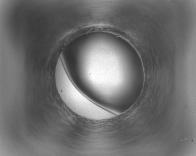 X0000068851398200605051006