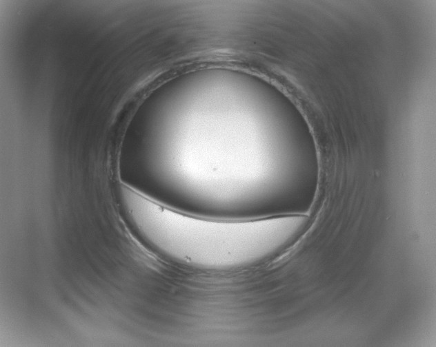 X0000068851402200605051006