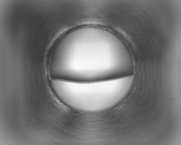 X0000068851408200605051006