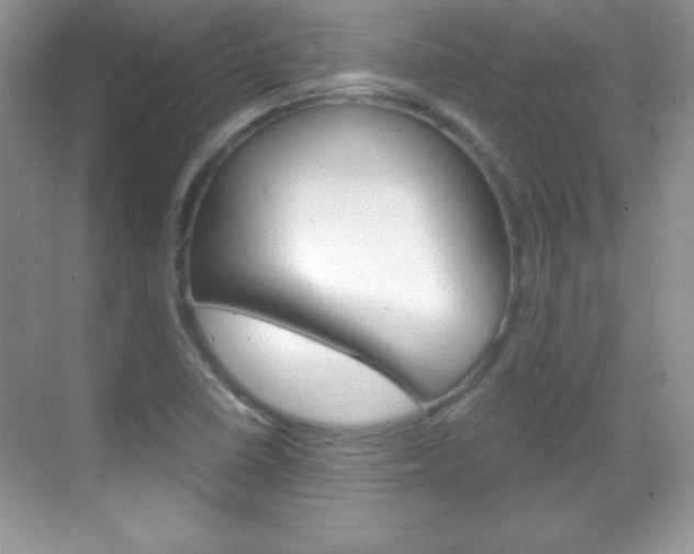X0000068851410200605051006