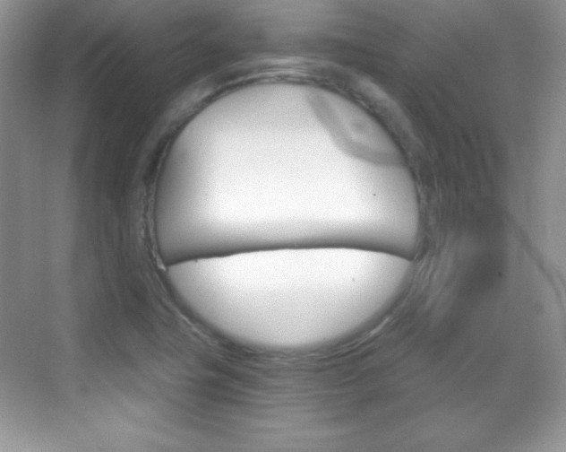 X0000068851411200605051006