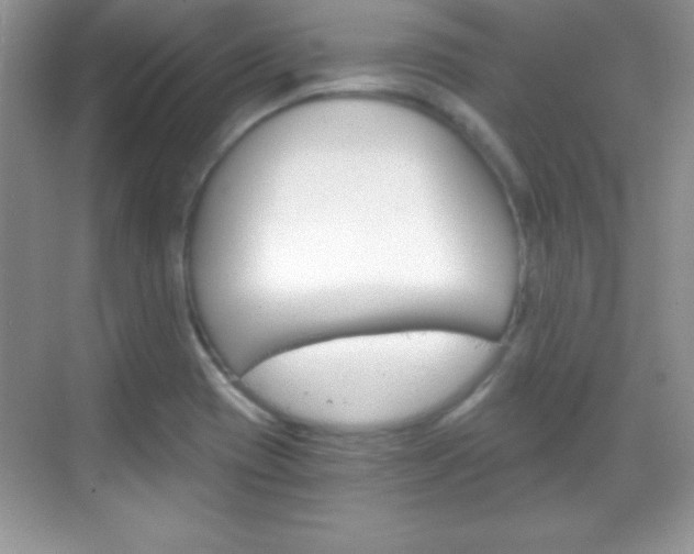 X0000068851417200605051006