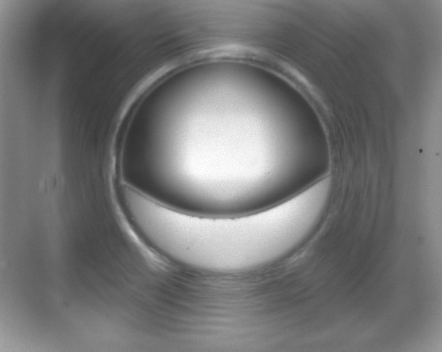 X0000068851418200605051006
